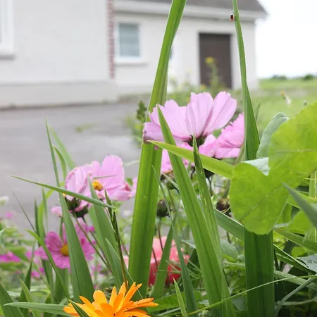 Nyaraló Family Home, 20 Mins From Youghal