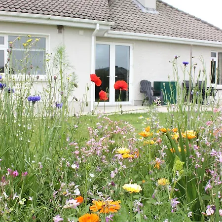 Family Home, 20 Mins From Youghal Σπίτι διακοπών *