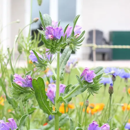 Family Home, 20 Mins From Youghal