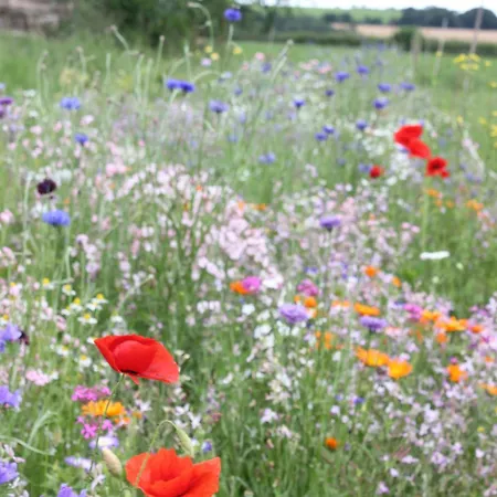 Casa de Férias Family Home, 20 Mins From Youghal