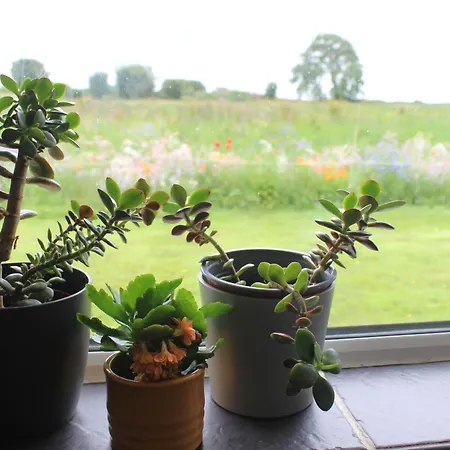 Family Home, 20 Mins From Youghal Σπίτι διακοπών Killeagh