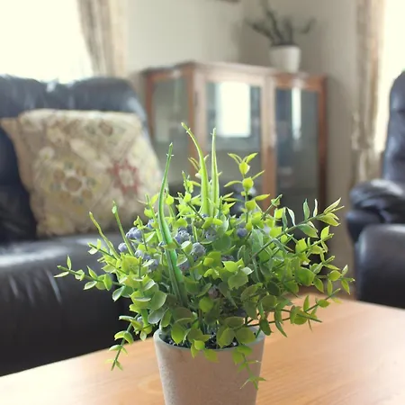 Family Home, 20 Mins From Youghal