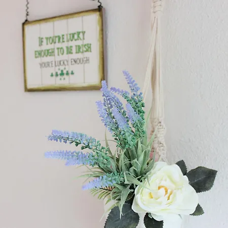 Family Home, 20 Mins From Youghal