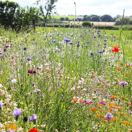 Дом отдыха Family Home, 20 Mins From Youghal Killeagh