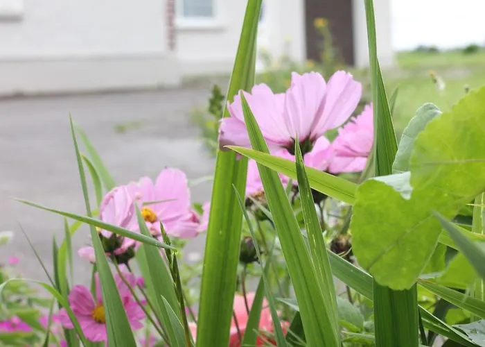 Holiday home Family Home, 20 Mins From Youghal