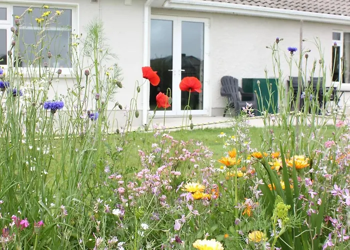 Family Home, 20 Mins From Youghal Сasa de vacaciones *