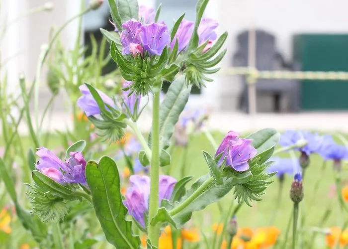 Family Home, 20 Mins From Youghal