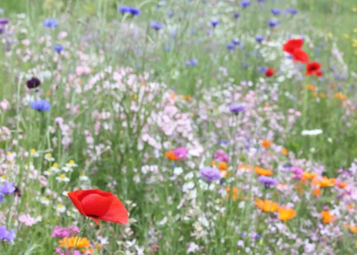 Holiday home Family Home, 20 Mins From Youghal