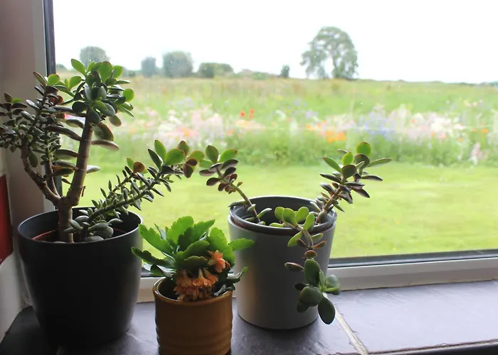 Family Home, 20 Mins From Youghal Сasa de vacaciones Killeagh