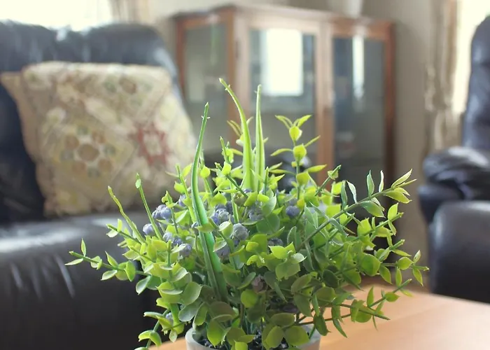 Family Home, 20 Mins From Youghal