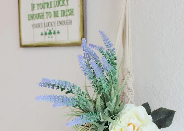 Family Home, 20 Mins From Youghal