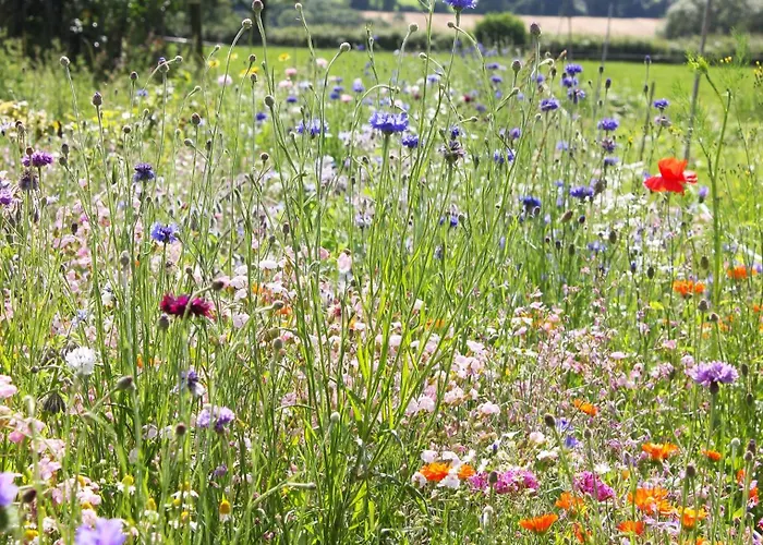 Vakantiehuis Family Home, 20 Mins From Youghal Killeagh